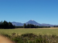 Mt Ngauruhoe